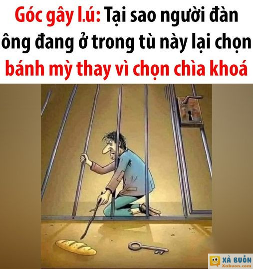 IQ vô cực mới hiểu 🥲 -  haivl | hài hước | hài vl   