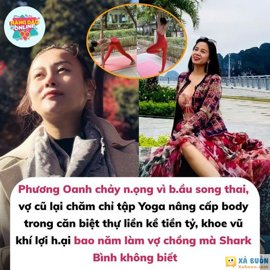 Vũ khí bí mật bao năm Shark Bình không biết! -  haivl | hài hước | hài vl 