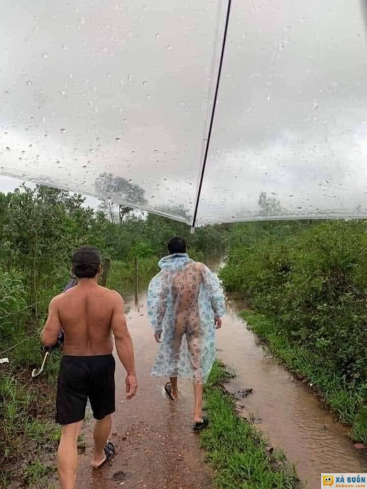 Đi tuần 1 vòng nhà xem thiệt hại sau bão, chưa tính lúa đổ 🥹