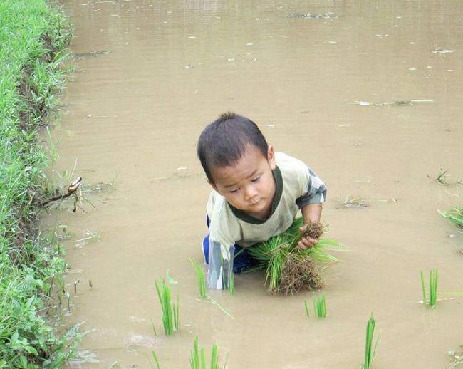 Khâm phục em quá, tuổi nhỏ mà công việc không nhỏ chút nào