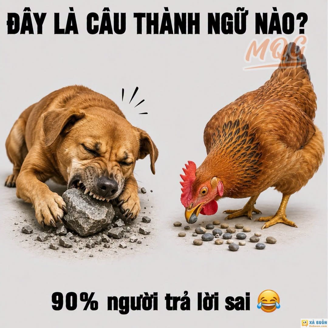 Khó đoán đấy -  haivl | hài hước | hài vl  