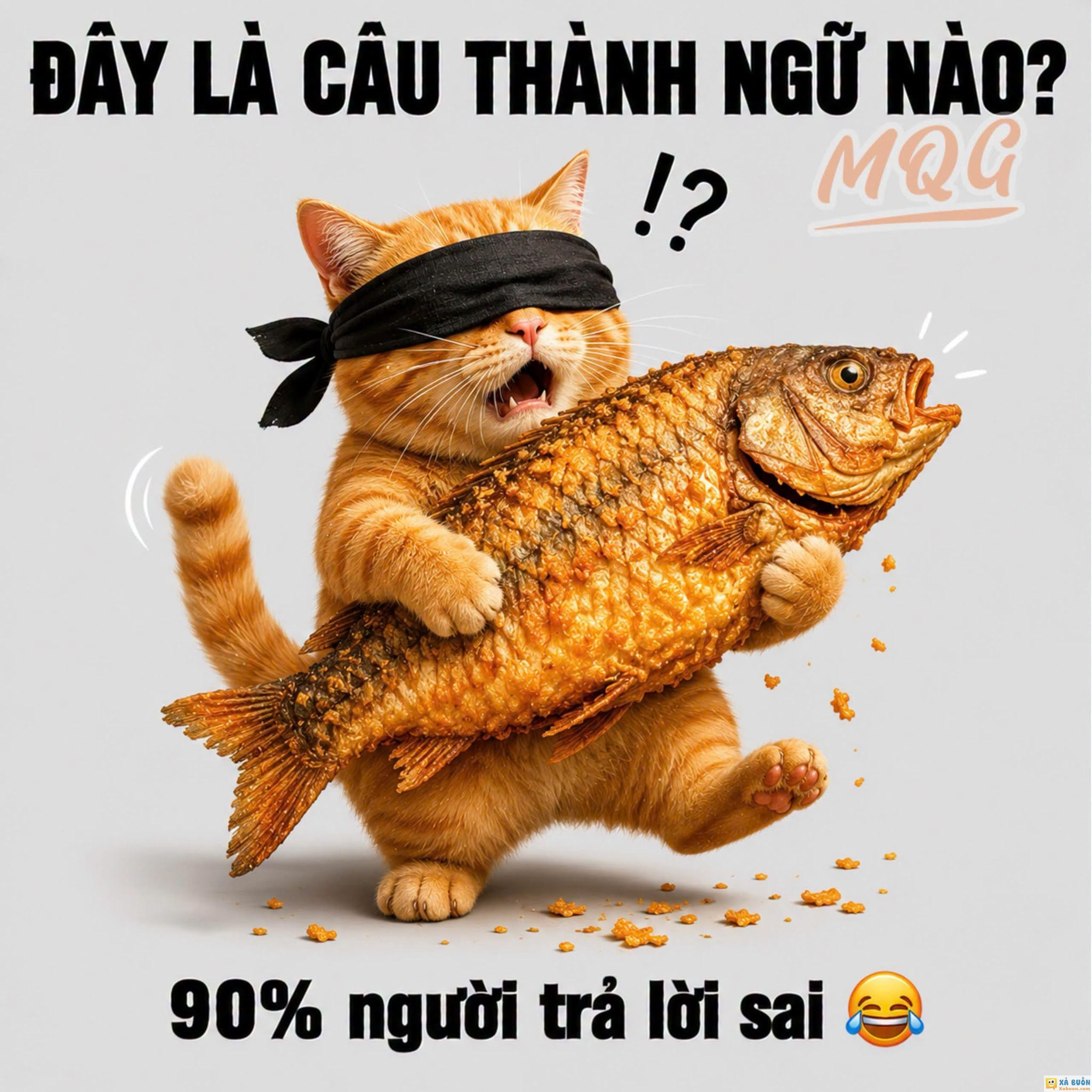 Đố bạn -  haivl | hài hước | hài vl  