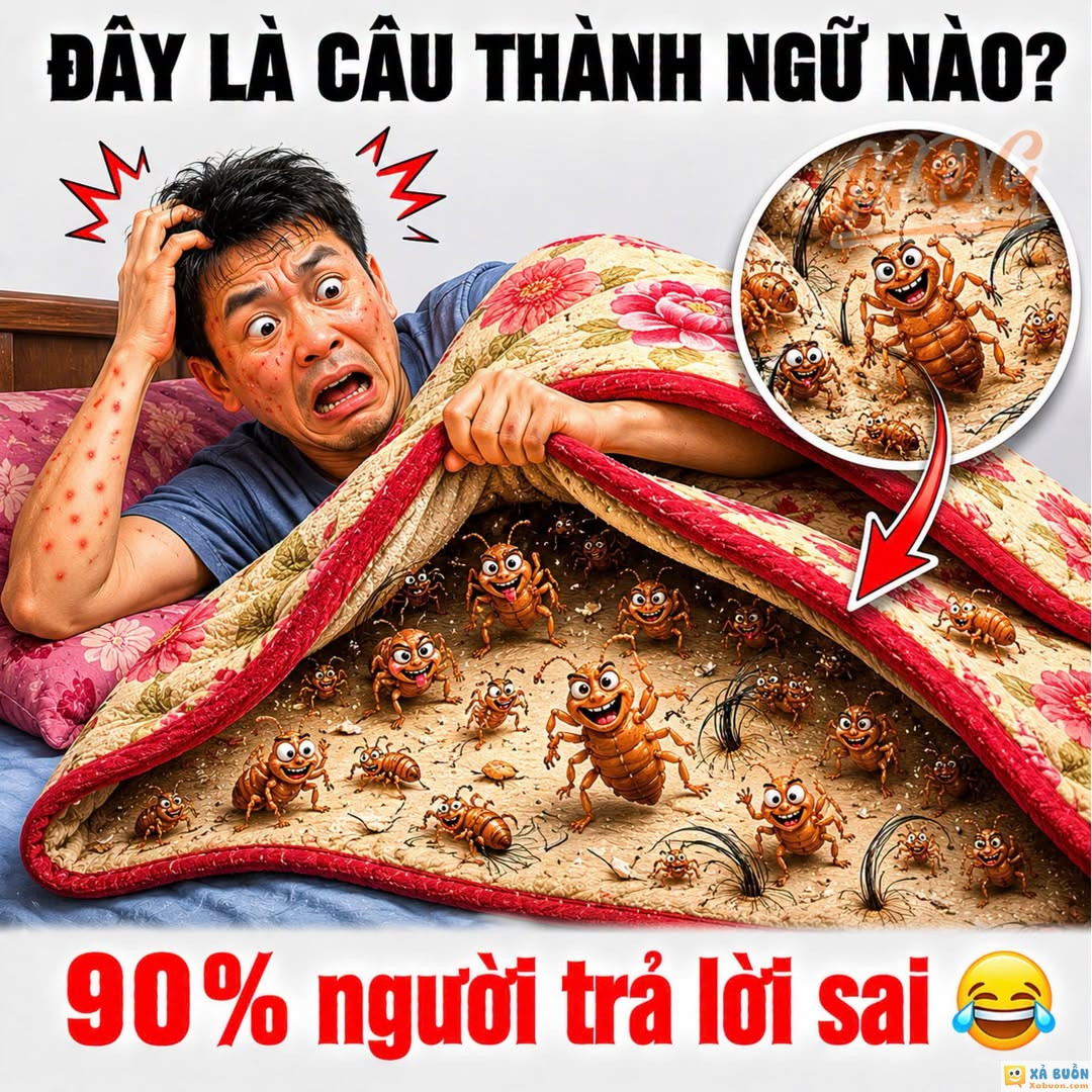 Khó đoán đấy -  haivl | hài hước | hài vl  