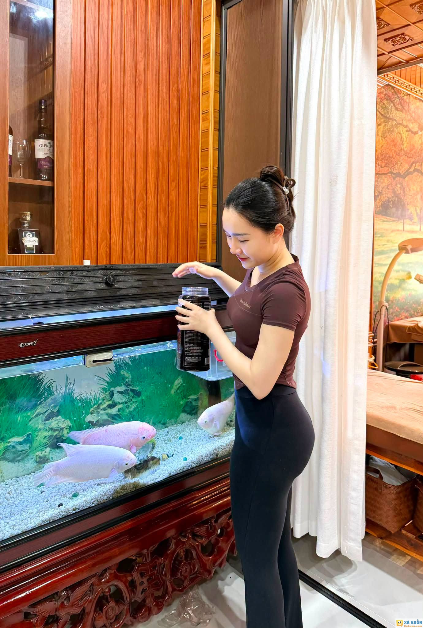 cho cá ăn -  haivl | hài hước | hài vl  