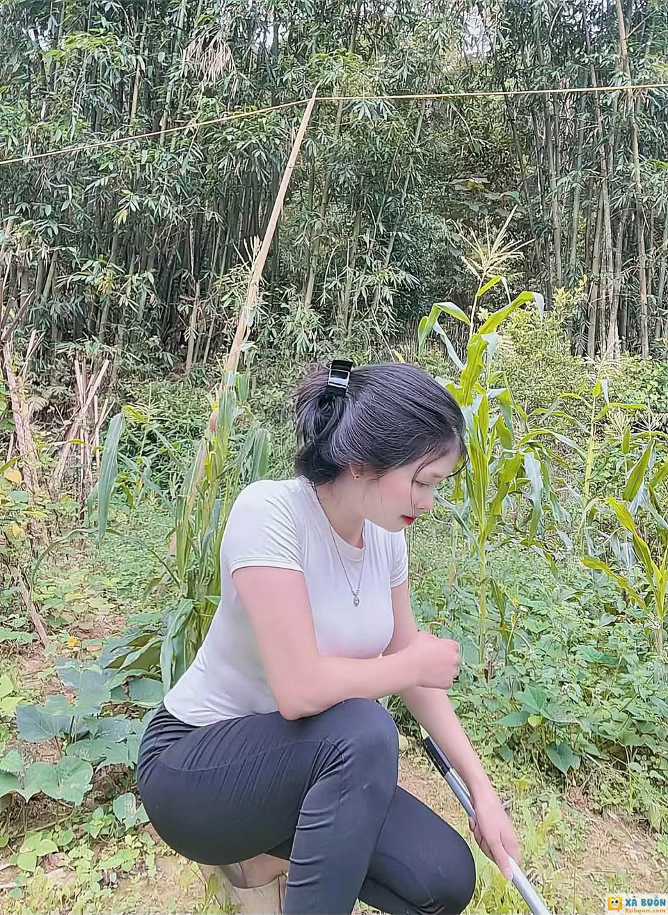 Làm nông mệt quá  muốn làm vợ tỷ Phú 😌 -  haivl | hài hước | hài vl 