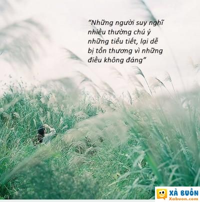  <3  "bình yên có đắt không anh?/ sao người ta phải tranh giành để mua?"  =)) 