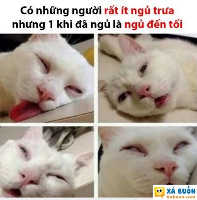  haivl  bất tỉnh nhân sự luôn chứ đùa  :)  -  haivl | hài hước | hài vl 