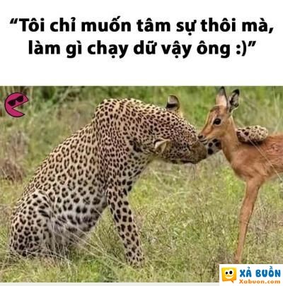  :(  ông đừng có mà bốc phét, đừng có mồm điêu đi  haivl 