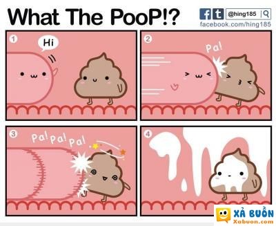  haivl  hóng cao nhận vào giải thích, ảnh 18+ =))  hài hước  