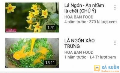  =))  cạn lời  <3  -  haivl | hài hước | hài vl  