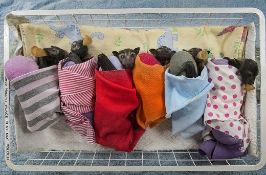 ấm quá :) -  haivl | hài hước | hài vl  