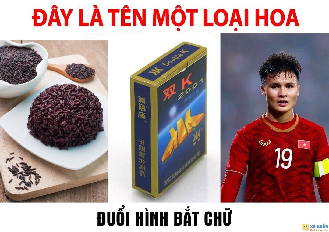 Đây là tên một loài hoa -  haivl | hài hước | hài vl   