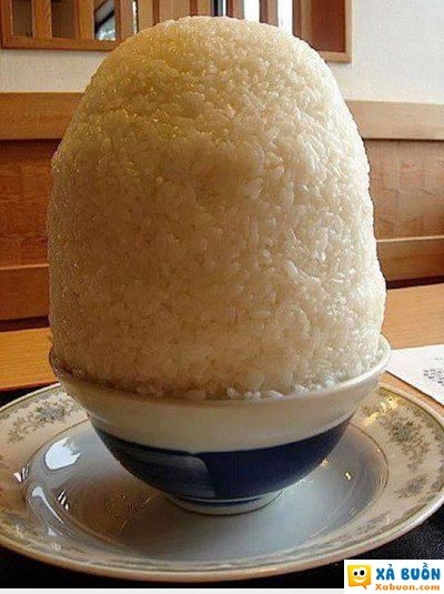  :(  mẹ ơi đơm cho con chén cơm =))  :v  -  haivl | hài hước | hài vl  