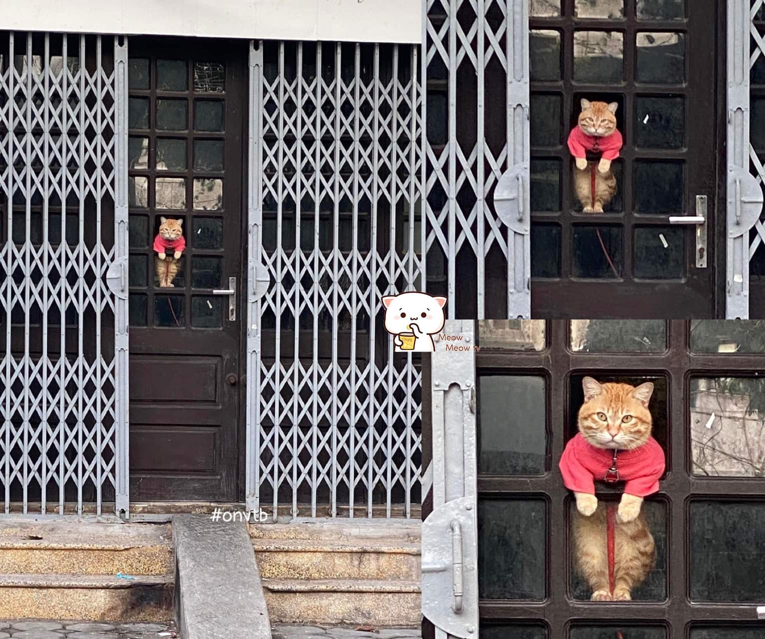 Cách ẻm chào tôi mỗi sáng đi làm 😌 -  haivl | hài hước | hài vl  