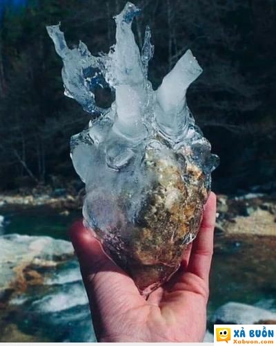 Hãy khám phá hình ảnh về trái tim băng giá và cảm nhận sức lạnh chạm vào trái tim của bạn. Điều đó sẽ giúp bạn thấy mình vẫn có thể đau đớn và cảm xúc, đồng thời nhận thức được giá trị của sự ấm áp trong cuộc sống.