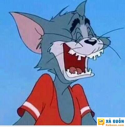  haivl  đề nghị ad thêm ảnh này làm meme  <3  -  haivl | hài hước | hài vl 