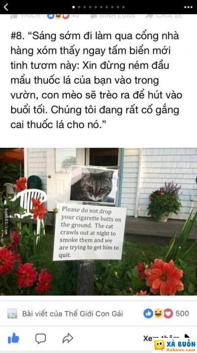  :(  cách trị hàng xóm vô duyên  hài hước   -  haivl | hài hước | hài vl 
