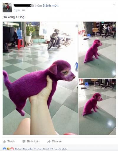  :v  khi tiệm tóc hết trò để hướng dẫn học viên :((  <3 