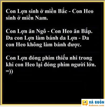  :v  cách phân biệt giữa con lợn và con heo  <3  -  haivl | hài hước | hài vl 