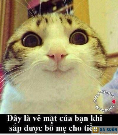  =)) <3   ngây thơ vô tội :v  :x  -  haivl | hài hước | hài vl   