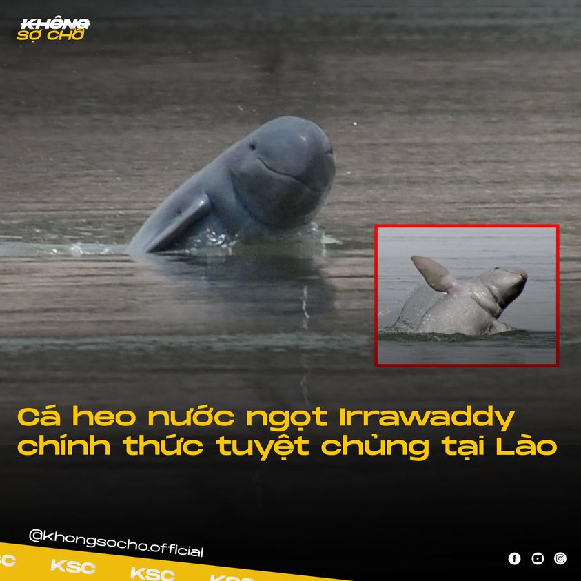 :( -  haivl | hài hước | haiivl| bigo viet 