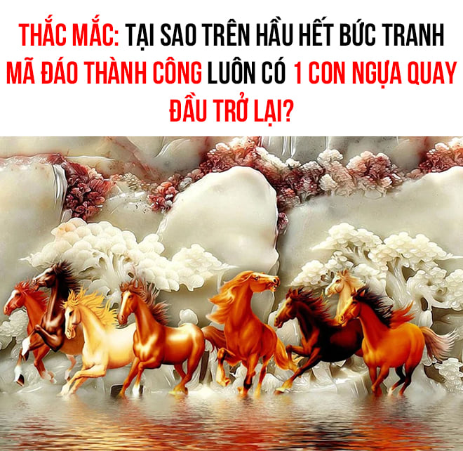 Ai giải thích hộ e với -  haivl | hài hước | hài vl  