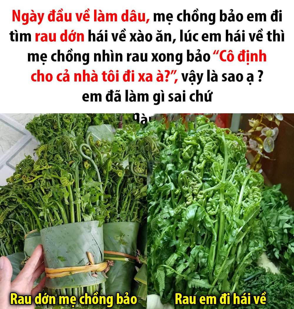 Rau Dớn Này Hơi Lạ Haivl Hài Hước Hài Vl 9502