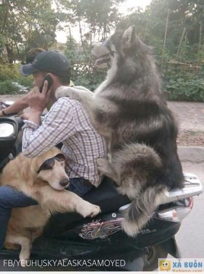  :3  có cái gì đó sai sai trong bức ảnh này ????  :d 