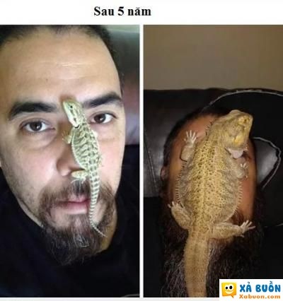  :3  nuôi con gì mà không thịt  :(  -  haivl | hài hước | hài vl  