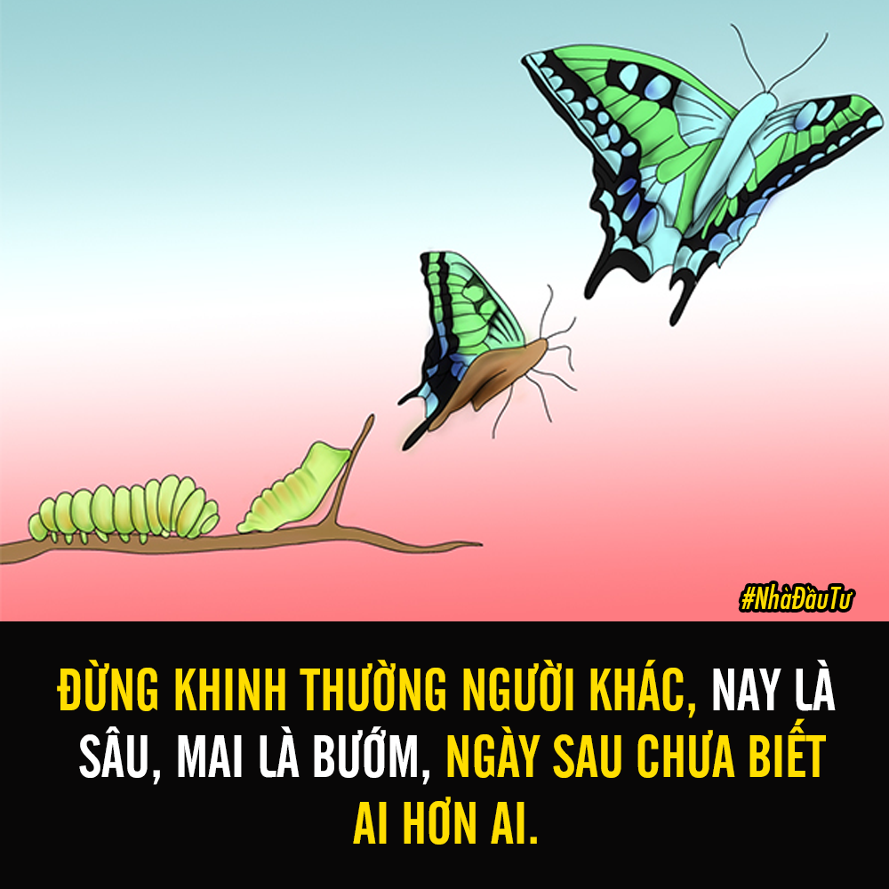 SỐNG Ở ĐỜI, ĐỪNG KHINH THƯỜNG NGƯỜI KHÁC!

1. Nay lên voi, mai xuống chó. Đời lắm biến số, đừng kiêu ngạo tự mãn, có ngày, bạn sẽ phải nhận sự kh.i.nh thường.

2. Đừng vội chê sách không hay khi mới chỉ xem trangXem thêm bìa. Giàu nghèo cần phải có thời gian. Giàu đến mấy mà ngồi không hưởng lợi cũng có ngày nghèo khổ mà thôi.

3. Ai trong đời cũng từng trải qua giai đoạn khó khăn, không một xu dính túi. Nghèo một chút để biết ai là bạn ai là bè.

4. Không nên đánh giá người khác tốt xấu thế nào, bởi vì tốt xấu của họ không ảnh hưởng tới miếng cơm manh áo của bạn.

5. Đừng tự mãn quá sớm. Bạn chỉ là những hạt cát trong sa mạc, những ngôi sao nhỏ bé trong bầu trời rộng lớn mà thôi.

6. Thế giới luôn thay đổi, con người cũng luôn đổi thay. Đừng có chút thành quả đã dương dương tự đắc, ngủ quên trên chiến thắng khi cả xã hội luôn tiến về phía trước!.

7. Muốn cuộc đời tốt đẹp, hãy giảm bớt cái tôi cao ngạo và sự kh.i.nh thường!

#nhadautu