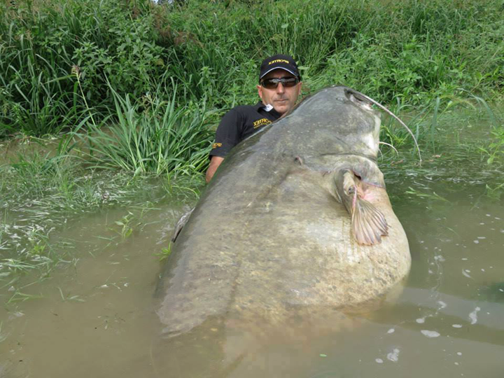 Xin một lời bình -  haivl | hài hước | hài vl  