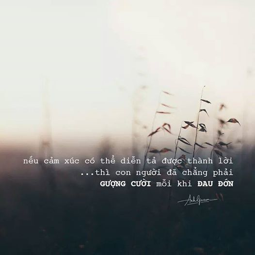 Nếu đời không có chữ nếu -  haivl | hài hước | hài vl   