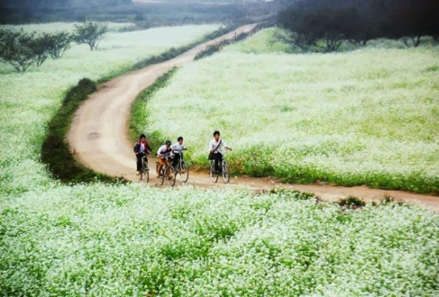 Mai Châu - Hòa Bình đẹp như tranh vẽ -  haivl | hài hước | hài vl  