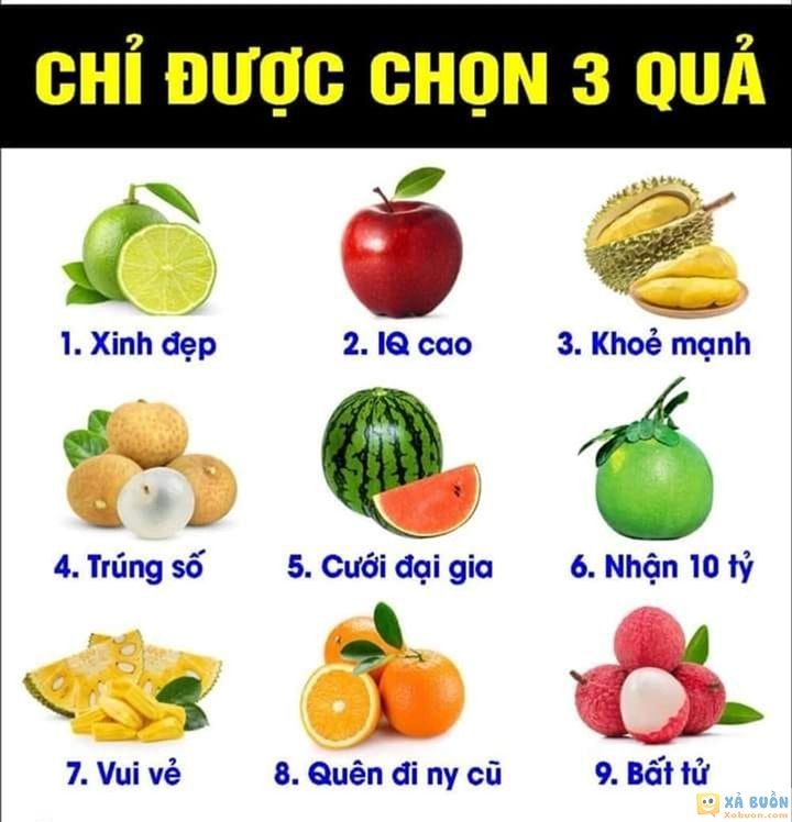 Đối vui: Bạn chọn cưới tỷ phú, bất tử hay quên đi người yêu cũ?