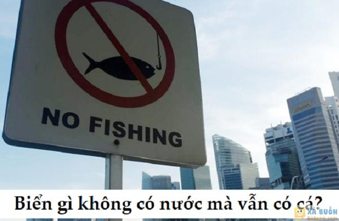 Đối vui: Biển gì không có nước mà vẫn có cá? -  haivl