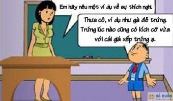 Truyện cười: Cách Thích Nghi Của Loài Gà -  haivl | hài hước | hài vl 