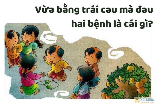 Đối vui: Cái gì vừa bằng trái cau mà đau 2 bệnh? -  haivl