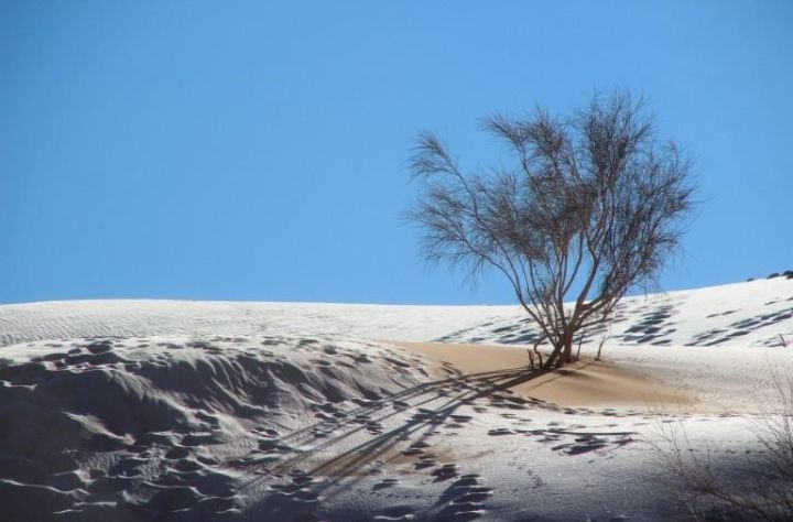 Đối vui: Cảnh tượng cực hiếm: Băng tuyết bất thường phủ trắng sa mạc Sahara