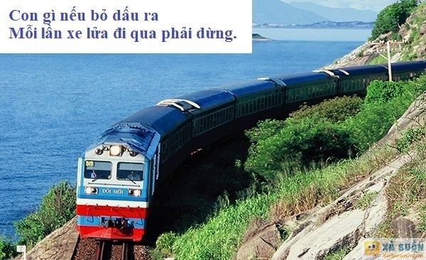 Đối vui: Câu đố xoắn não cho người thông minh: Đây là con gì?