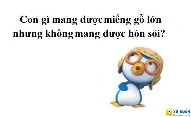 Đối vui: Con gì mang được miếng gỗ lớn nhưng không mang được hòn sỏi?