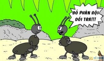 Truyện cười: Diệt Kiến Bằng Kế Ly Gián -  haivl | hài hước | hài vl 