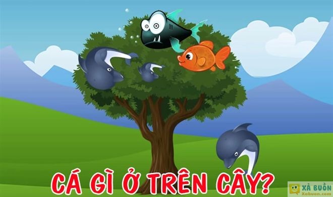 Đối vui: Đố mẹo 3 giây: Cá gì ở trên cây? -  haivl | hài hước | hài vl 