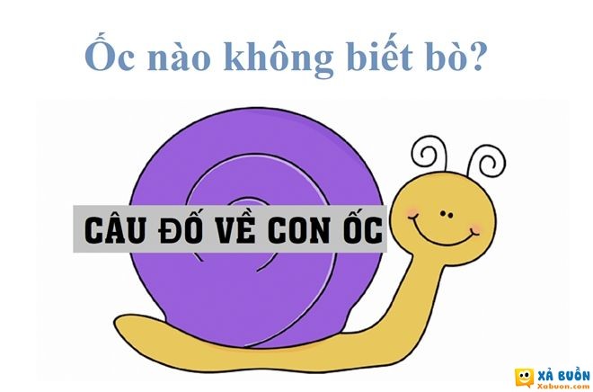 Đối vui: Đố mẹo 3 giây cho người IQ cao: Ốc nào không biết bò?