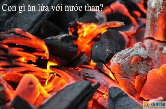 Đối vui: Đố mẹo 5 giây: Con gì ăn lửa với nước than?