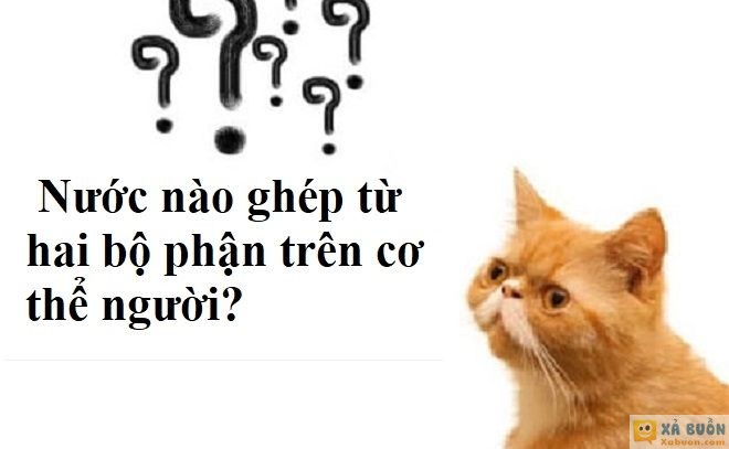 Đối vui: Đố mẹo: Tên nước nào ghép từ hai bộ phận cơ thể người?