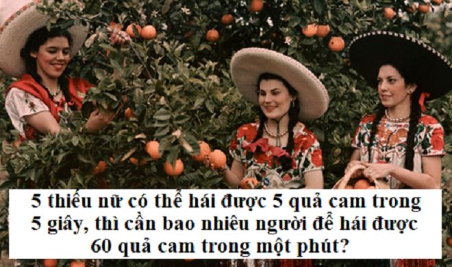 Đối vui: Đố vui hại não: Cần bao nhiêu cô gái hái cam?