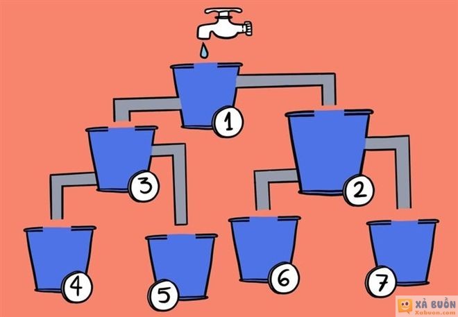 Đối vui: Đố vui xoắn não: Bình nào sẽ đầy nước trước?