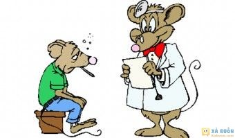 Truyện cười: Hậu Quả Của Việc Làm Theo Hướng Dẫn -  haivl Truyện cười: Hậu Quả Của Việc Làm Theo Hướng Dẫn -  haivl