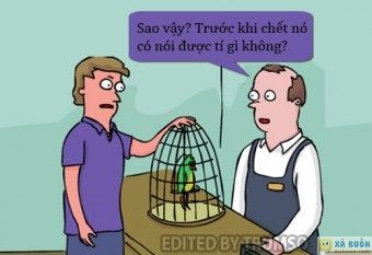 Truyện cười: Lời Hấp Hối Của Vẹt -  haivl | hài hước | hài vl  