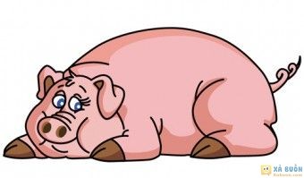 Truyện cười: Lợn Không Cần Tiết Kiệm Thời Gian -  haivl